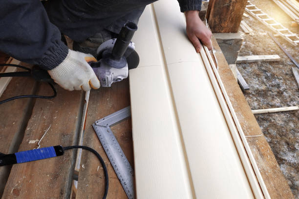 Best Siding Replacement  in Somerset, WI