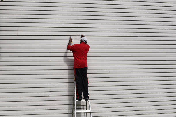 Best Siding Removal and Disposal  in Somerset, WI
