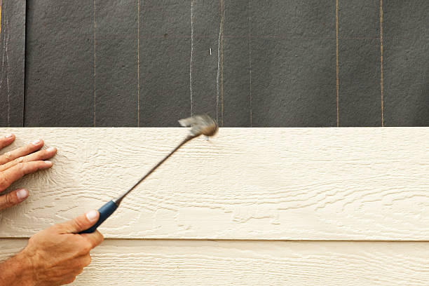 Best Vinyl Siding Installation  in Somerset, WI